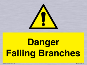 Danger Falling Branches